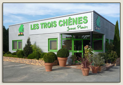 Les trois ch�nes