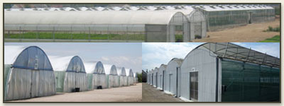 3.6 hectares de surfaces couvertes