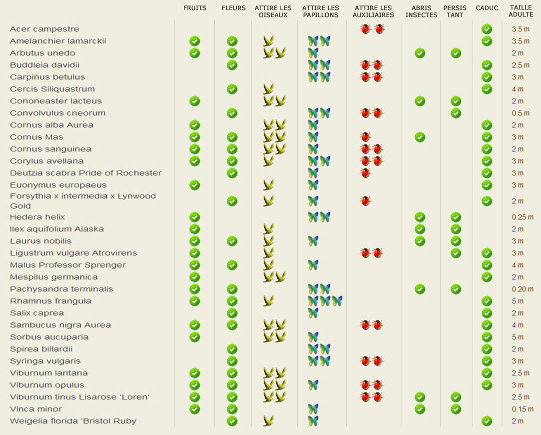 Variétés d'arbres attirants papillons, oiseaux et auxiliaires